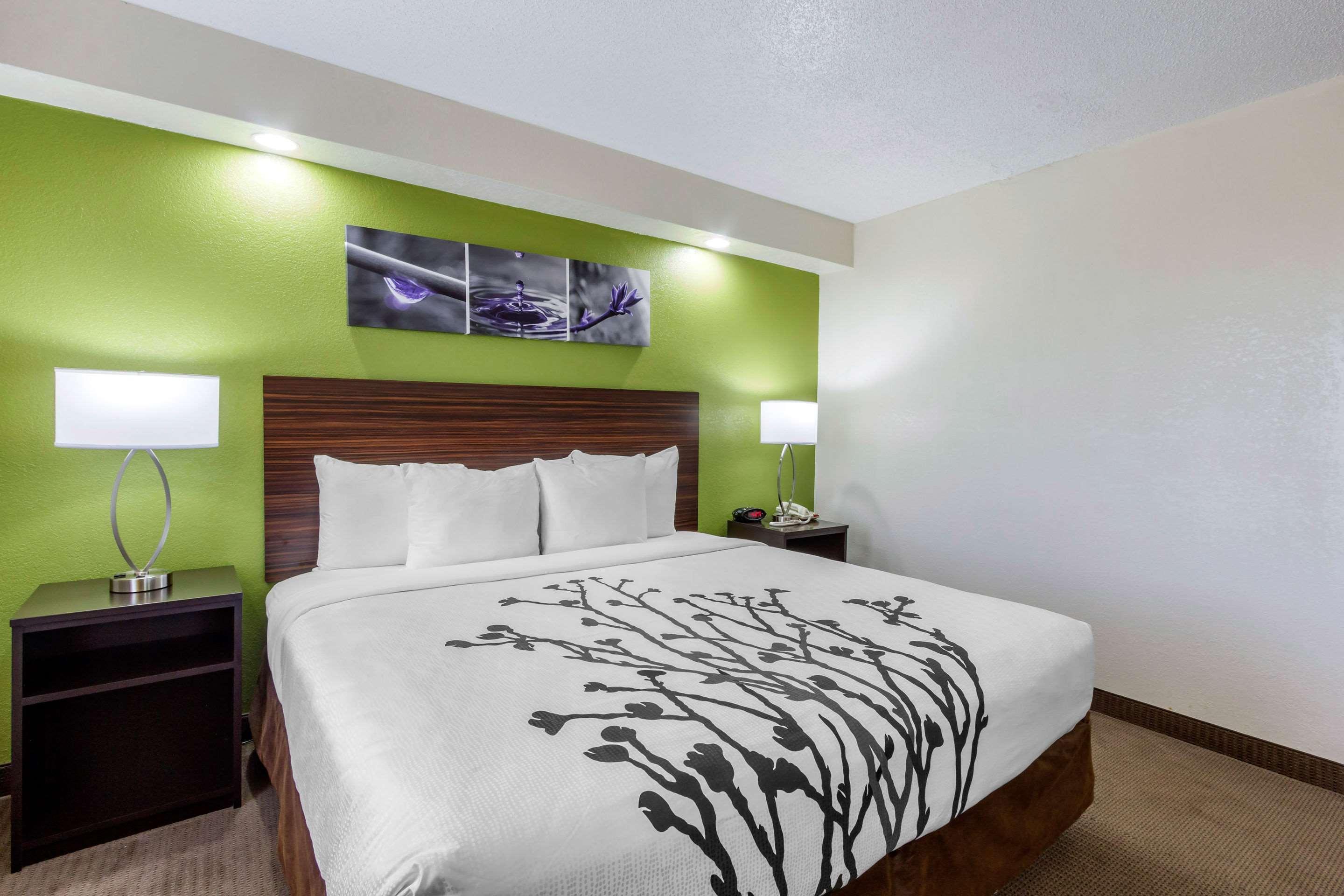 Sleep Inn Near Busch Gardens - Usf Temple Terrace Exterior foto