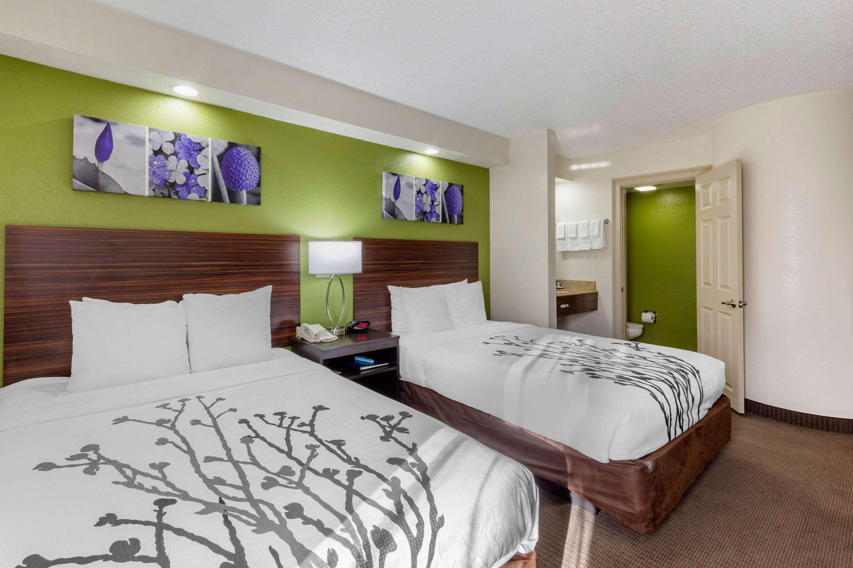 Sleep Inn Near Busch Gardens - Usf Temple Terrace Exterior foto